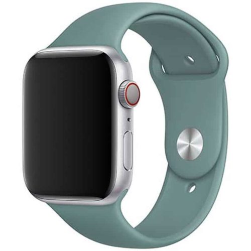 Apple Watch kaktusz szilikon szíj